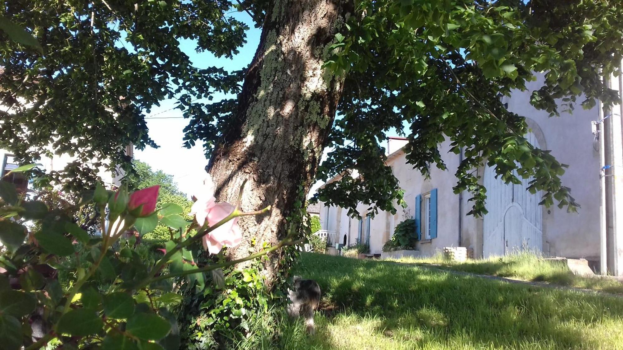 La Part Des Anges Votre A La Campagne Apartment